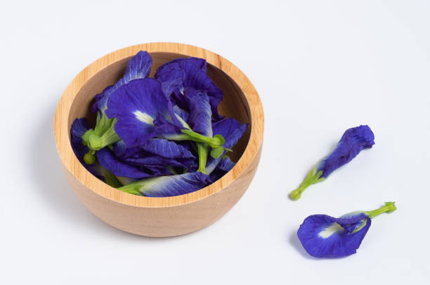 istock Butterfly pea flower on white background, copy space 1212124126