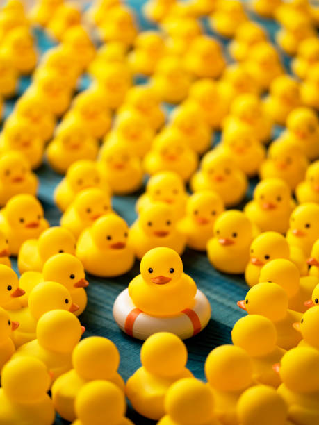 istock One yellow rubber duck on a safety inflatable life ring facing the camera as many other yellow rubber ducks gather around and look at the duck on the life ring, set on a turquoise wooden table background. 1212128964
