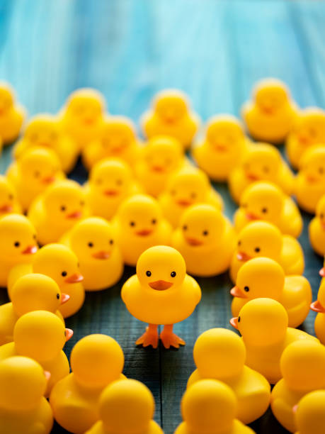 istock One different yellow rubber duck standing on legs out from the crowd, facing the camera as many other normal yellow rubber ducks gather around and look at the standing duck, set on a turquoise wooden table background. 1212129018