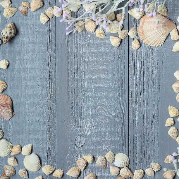 istock blue wooden background with seashells and corals 1212129583