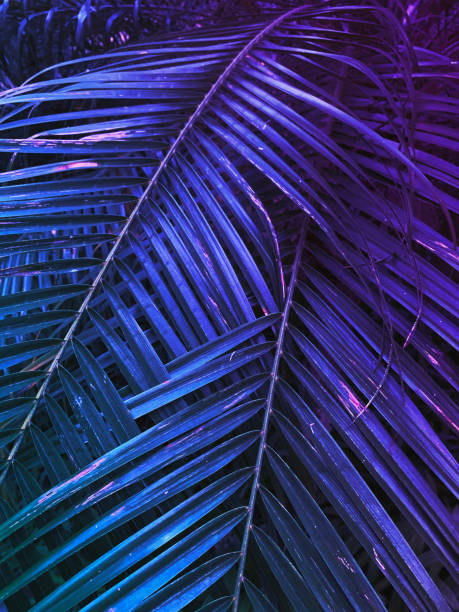 istock palm tree leaf tropical floral neon background 1212133538