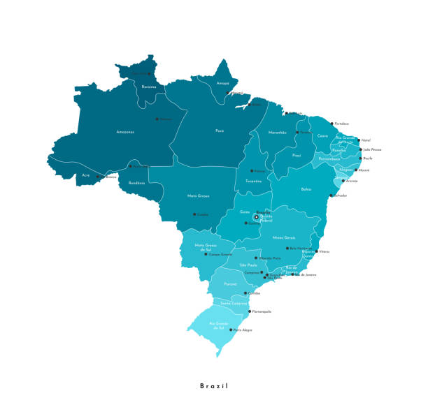ベクターモダンの単一のイラスト。ブラジルの簡素化された行政地図。 ブラジルの都市(ブラサンリア、サンパウロ、リオデジャネイロなど)とブラジルの州の名前。白い背景 - brazil map rio de janeiro sao paulo点のイラスト素材／クリップアート素材／マンガ素材／アイコン素材