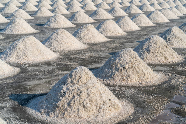 istock Salt in salt farm ready for harvest, Thailand. 1212137722