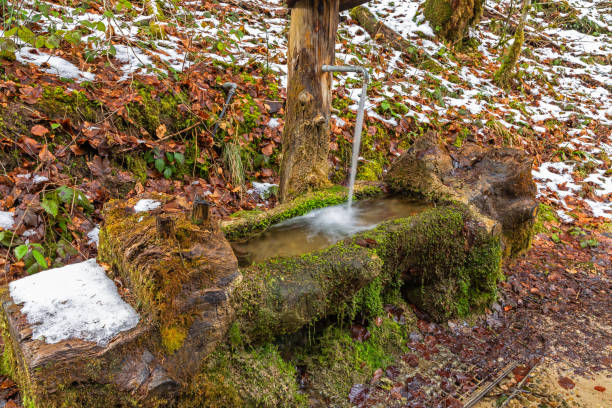istock Mossy water trough in Eistobel gorge, Bavaria 1212138602