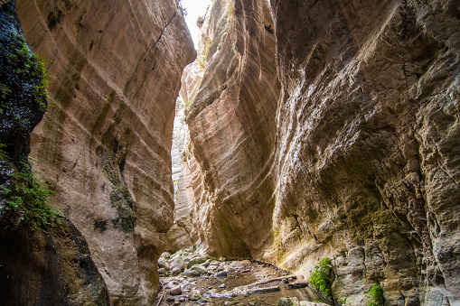 Avakas Gorge in Cyprus. Little river in foreground, sunlit rocks are in background.