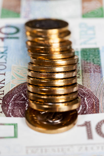 istock cash or Polish money 1212141114