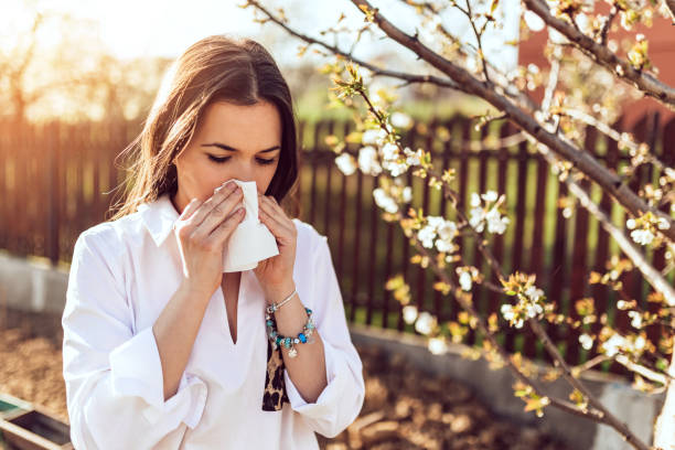 mujer estornudando en el jardín floreciente - primavera estación fotos fotografías e imágenes de stock