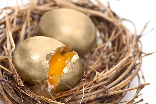 Desaparecer Nest Egg-Expressão anglo-saxônica - foto de acervo