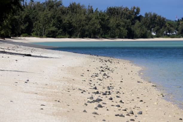 istock Riambel Beach in Mauritius, Indian Ocean, Africa 1212147619