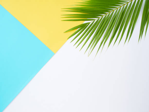 istock Colorful background with palm leaves, summer holiday concept 1212149072