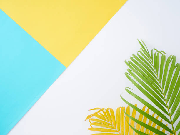 istock Colorful background with palm leaves, summer holiday concept 1212149075