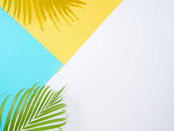 istock Colorful background with palm leaves, summer holiday concept 1212149099