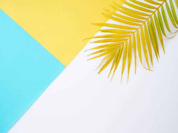 istock Colorful background with palm leaves, summer holiday concept 1212149125