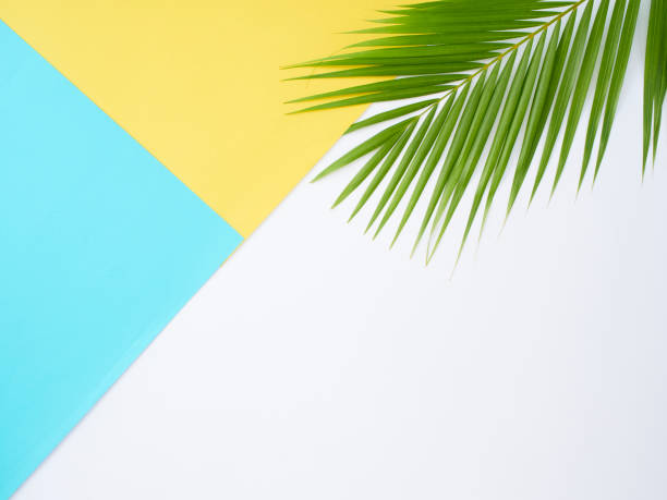 istock Colorful background with palm leaves, summer holiday concept 1212149127