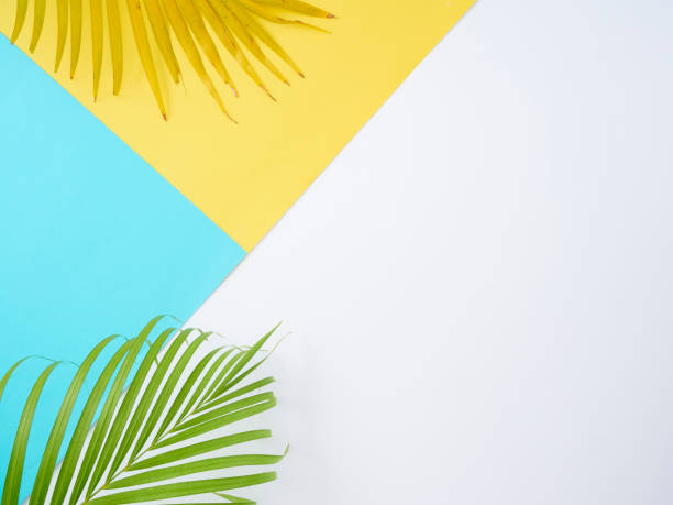 istock Colorful background with palm leaves, summer holiday concept 1212149135