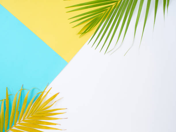 istock Colorful background with palm leaves, summer holiday concept 1212149140