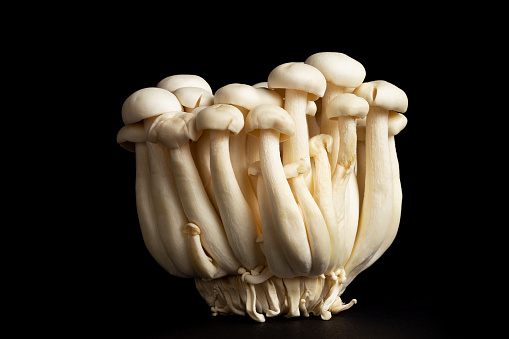 close up many Hypsizygus tessulatus mushroom, edible vegetable with copy space