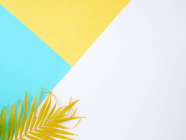 istock Colorful background with palm leaves, summer holiday concept 1212151994