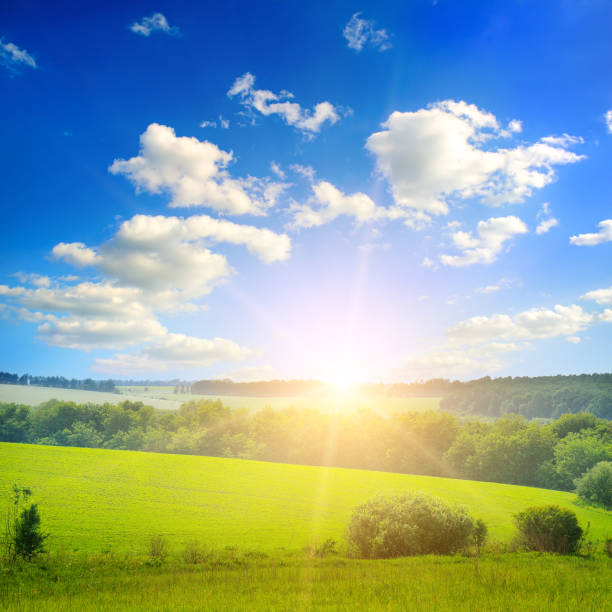 istock Green field and blue sky with light clouds. Bright sunrise over the horizon. 1212152209