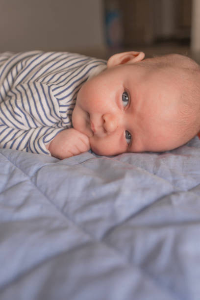 istock Baby boy lying on front in living room 1212153606