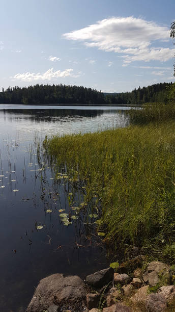 istock At the lake on a sunny summer's day 1212163160