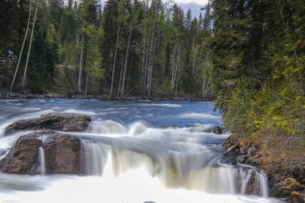 istock Flowing stream in Banff National Park, Canada 1212163439