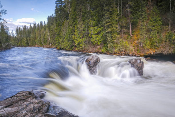istock Flowing stream in Banff National Park, Canada 1212164115