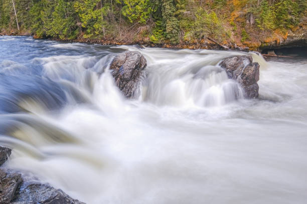 istock Flowing stream in Banff National Park, Canada 1212164161