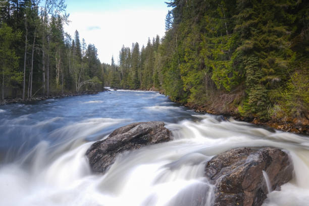 istock Flowing stream in Banff National Park, Canada 1212164269