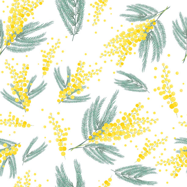 Seamless spring pattern with mimosa flower. Bright yellow flowers background. Seamless spring pattern with mimosa flower. Bright yellow flowers background. mimosa stock illustrations
