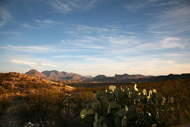 desierto en parque nacional big bend - desierto chihuahua fotografías e imágenes de stock