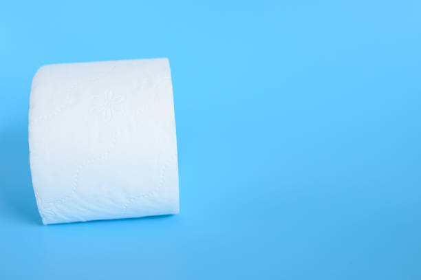 istock rolled white toilet paper in a blue background. space for text 1212171242
