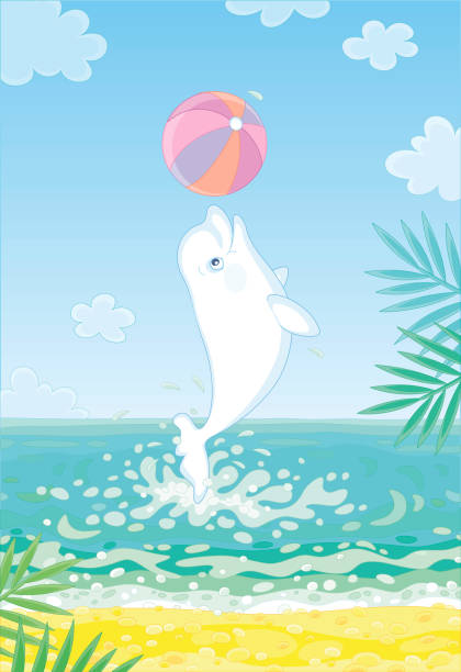 White dolphin playing a colorful ball Playful small beluga jumping out of water with a big striped ball on a tropical beach on a sunny summer day, vector cartoon illustration beluga whale jumping stock illustrations