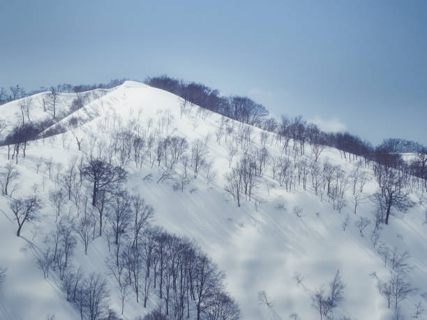 istock Watching the snow and skiing 1212173060