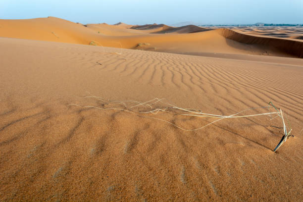 istock Sahara desert in morocco 1212174073