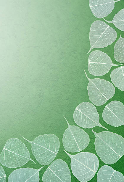 istock Skeletal leaves over green handmade paper - frame 121217441