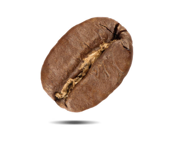 istock Macro shot of a arabica coffee been isolated 1212176424