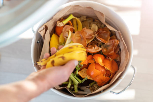 Container full of domestic food waste ready to be composted Overhead view of fruit and vegetable scraps in a white container, ready to go in the compost garbage bin photos stock pictures, royalty-free photos & images