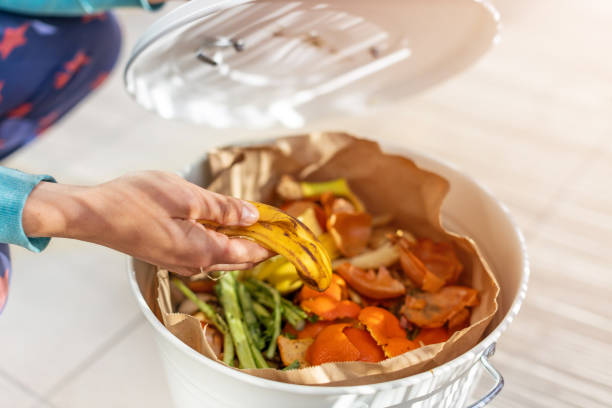 istock Container full of domestic food waste ready to be composted 1212178961