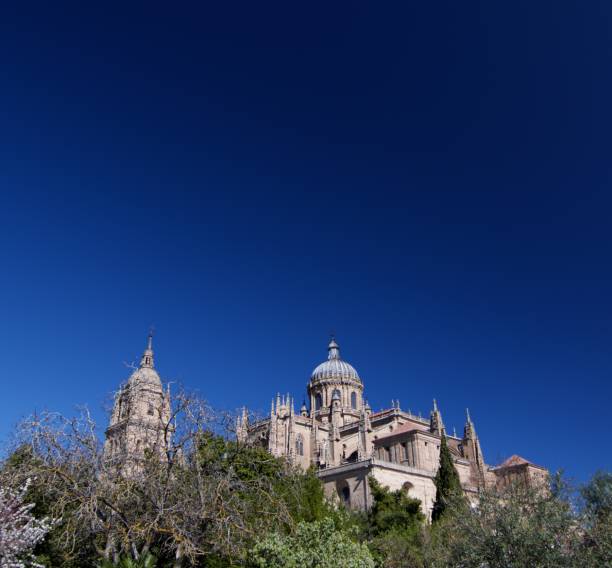 istock New Cathedral In Salamanca 1212180029