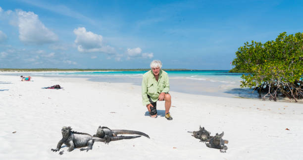 Senior looking at Marine Iguanas  on Galapagos public beach