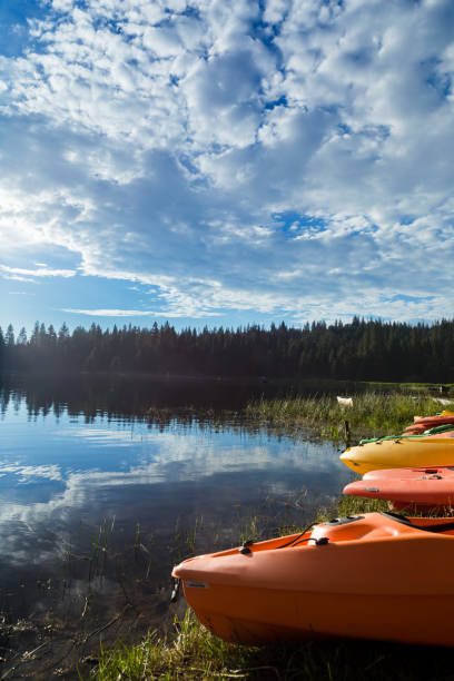 istock Kayaks beside lake surrounded by pine forest 1212188525