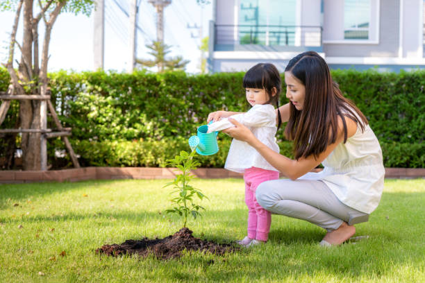 asiatische familie mutter und kind tochter pflanzen sapling baum und bewässerung im freien in der natur frühling für die verringerung der globalen erwärmung wachstum feature und kümmern sich um natur erde. menschen kind mädchen im garten hintergrund. - garden feature stock-fotos und bilder