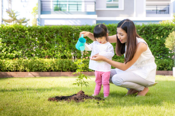 asiatische familie mutter und kind tochter pflanzen sapling baum und bewässerung im freien in der natur frühling für die verringerung der globalen erwärmung wachstum feature und kümmern sich um natur erde. menschen kind mädchen im garten hintergrund. - freshness human hand mother family stock-fotos und bilder