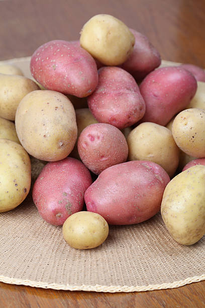 istock Red and white organic potatoes 121220313