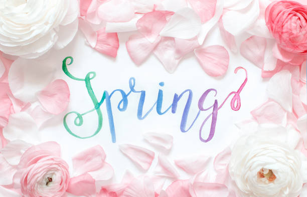 istock Brush lettering SPRING and pink ranunculus flowers and petals 1212205486
