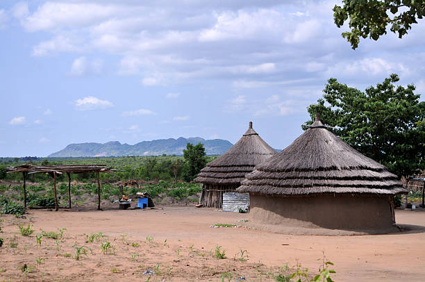 African houses Traditional African thatched-roof houses in the countryside in South Sudan south sudan stock pictures, royalty-free photos & images