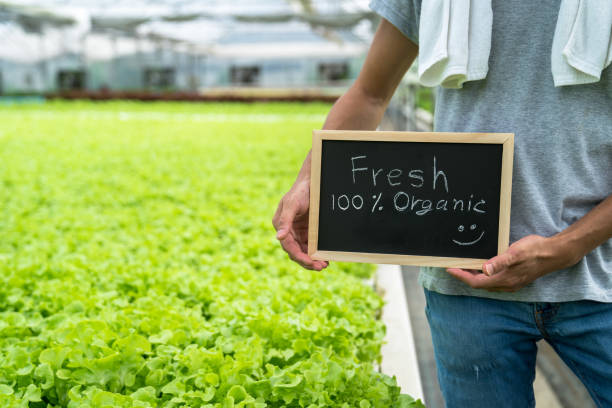 ein junger arbeiter stand mit einer tafel mit der aufschrift "fresh 100% bio" auf einer gemüse-hydroponik-farm. - technology farm cameron highlands agriculture stock-fotos und bilder