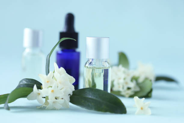istock aromaoil and white winter daphne (jinchouge) 1212207097
