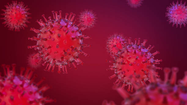 중국 병원체 호흡기 코로나바이러스 2019-ncov 바이러스가 숙주 유기체에 감염을 일으킨��다. - micro organism 뉴스 사진 이미지